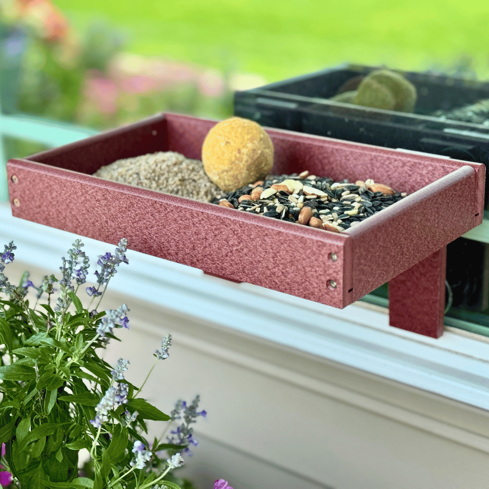 Window Mount Platform Tray Bird Feeder