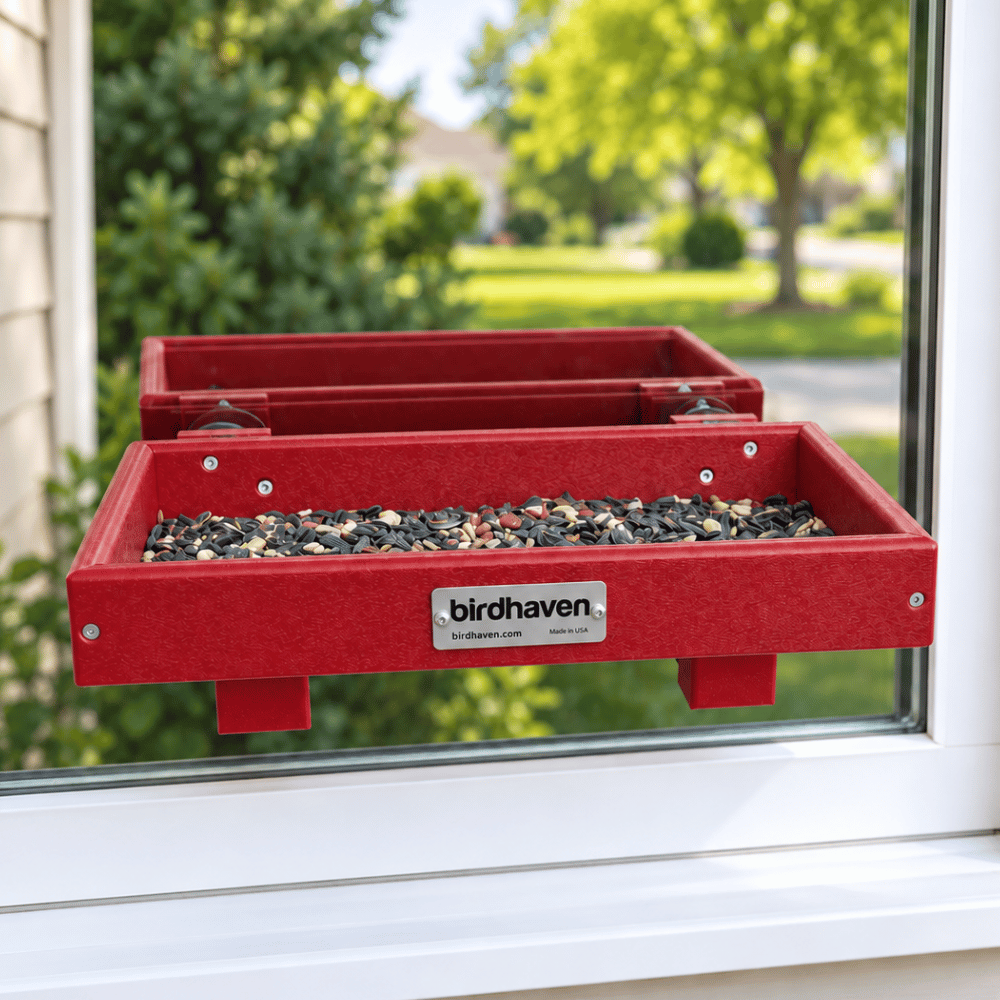 Window Mount Platform Tray Bird Feeder