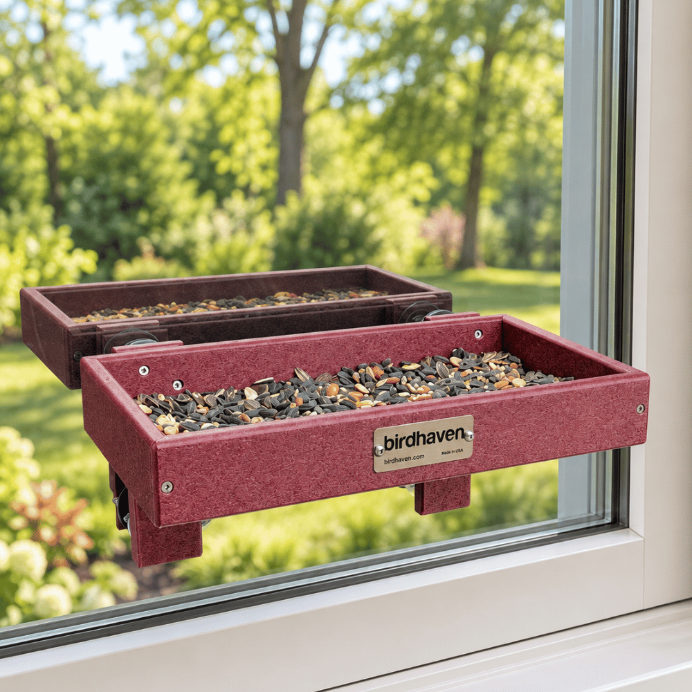 Window Mount Platform Tray Bird Feeder